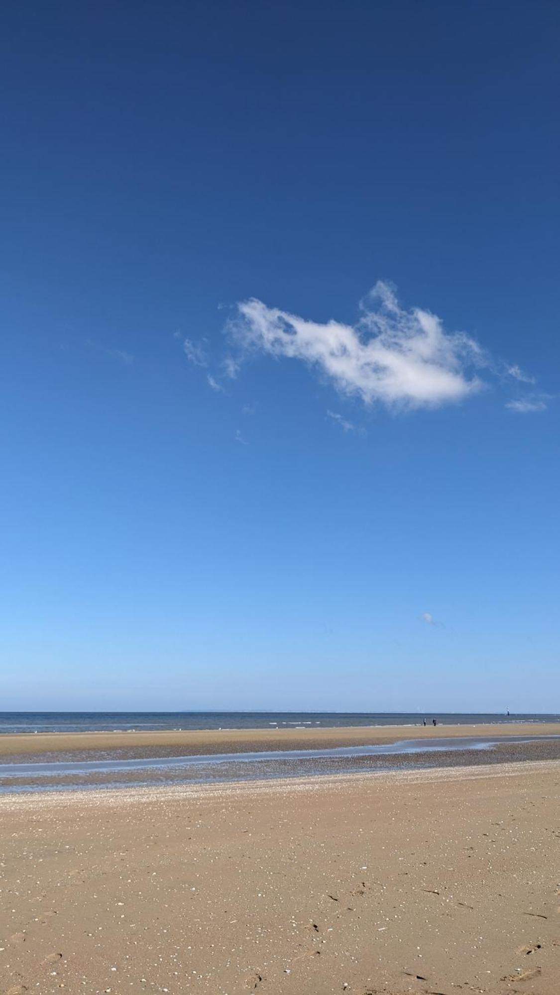 Apartment Appartement 1 Chambre A 50 M De La Plage Et Du Centre Cabourg