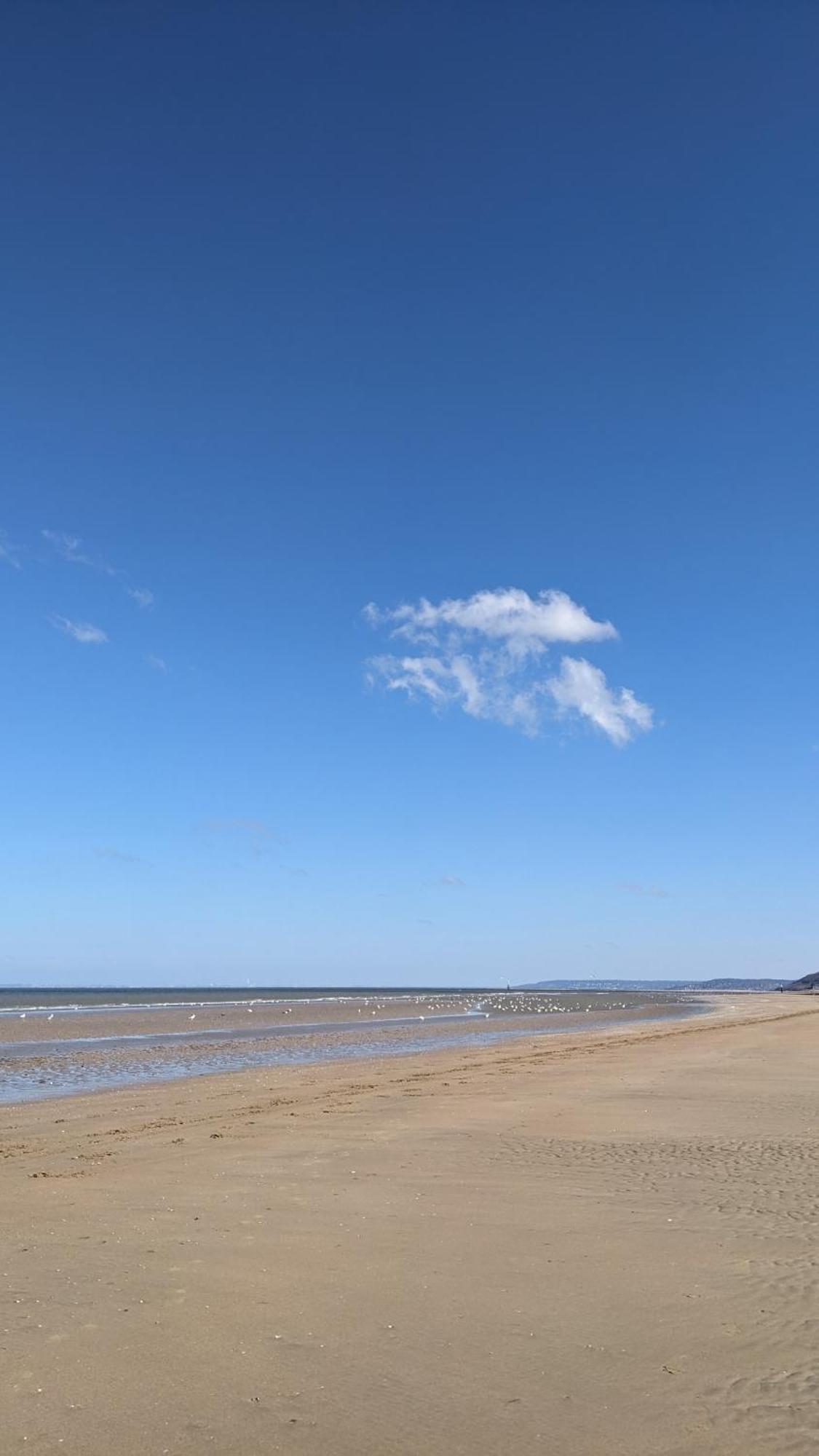 Apartment Appartement 1 Chambre A 50 M De La Plage Et Du Centre Cabourg