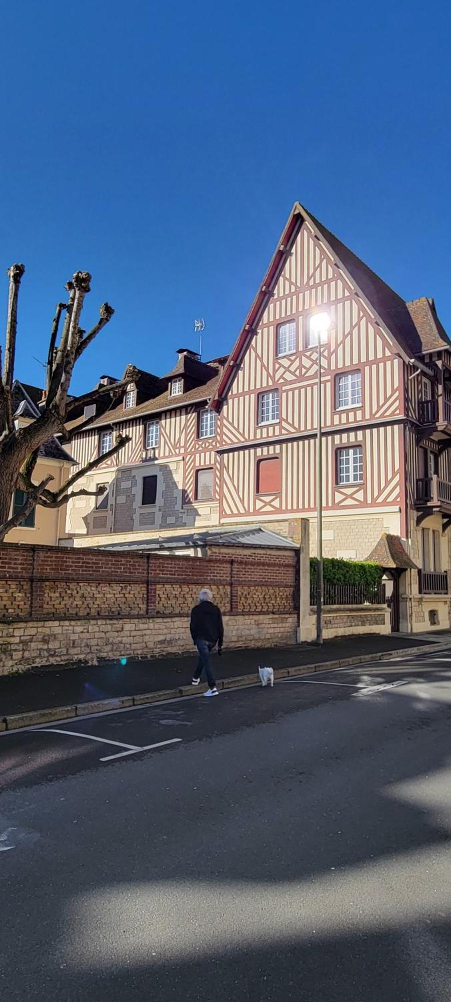 Appartement 1 Chambre A 50 M De La Plage Et Du Centre Apartment Cabourg